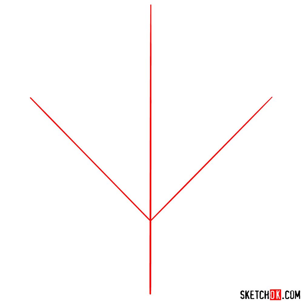 How to draw The Toronto Maple Leafs logo - step 01