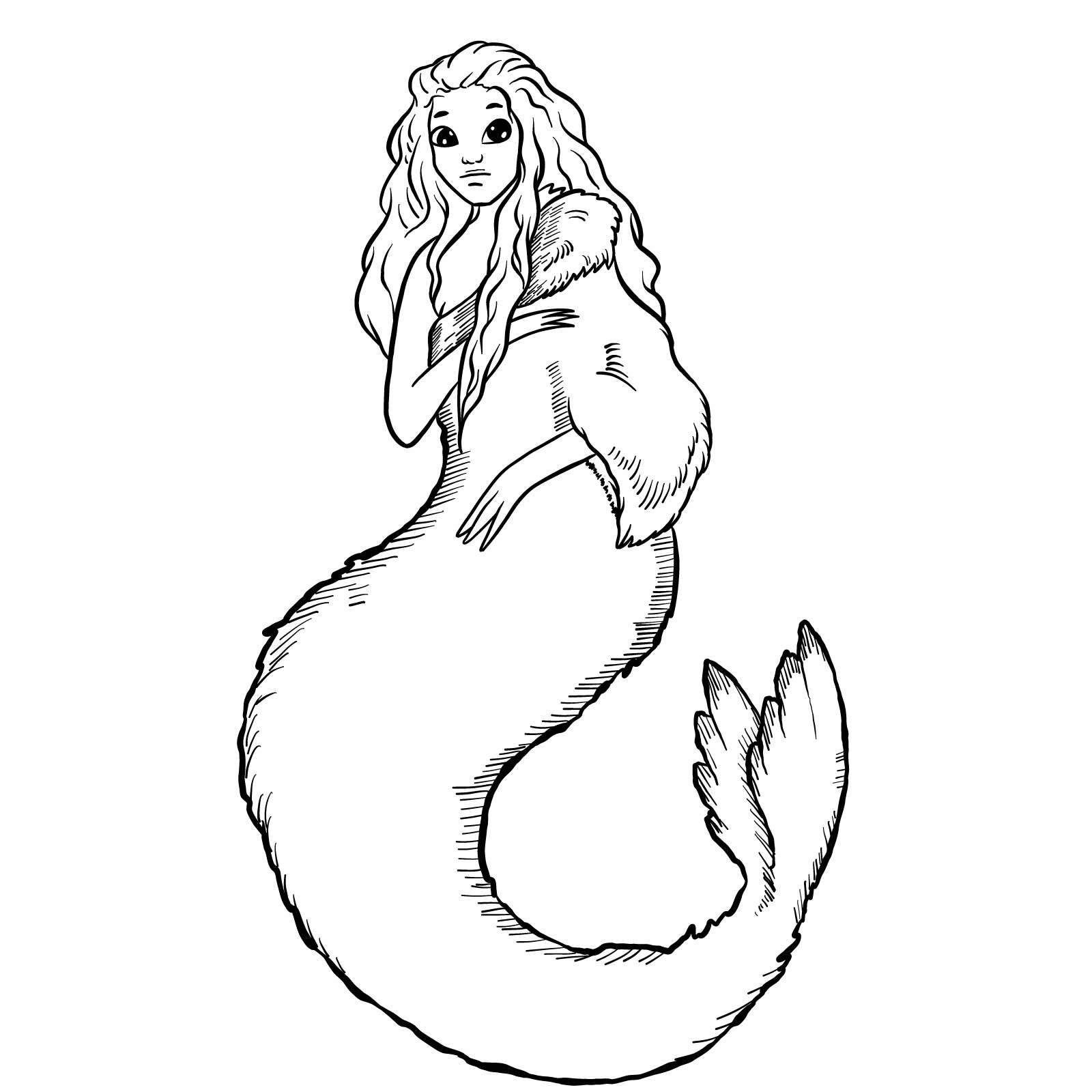 How to draw a Selkie - coloring