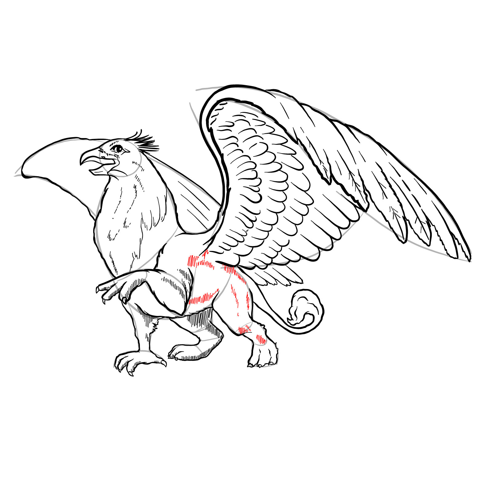 How to draw a Gryphon - step 44