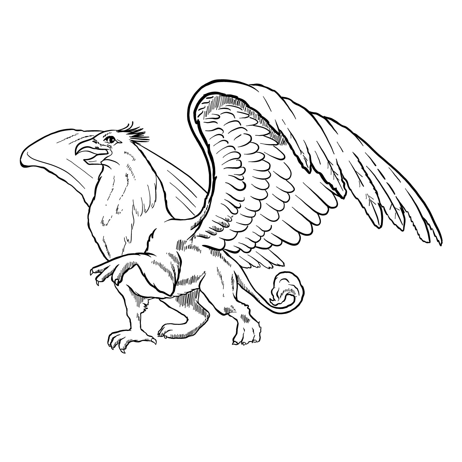 How to draw a Gryphon - coloring