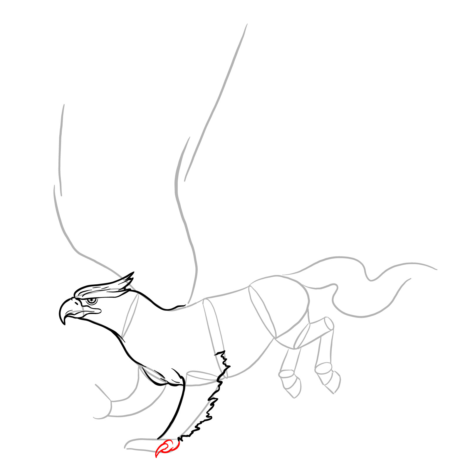 How to draw a Hippogryph - step 13