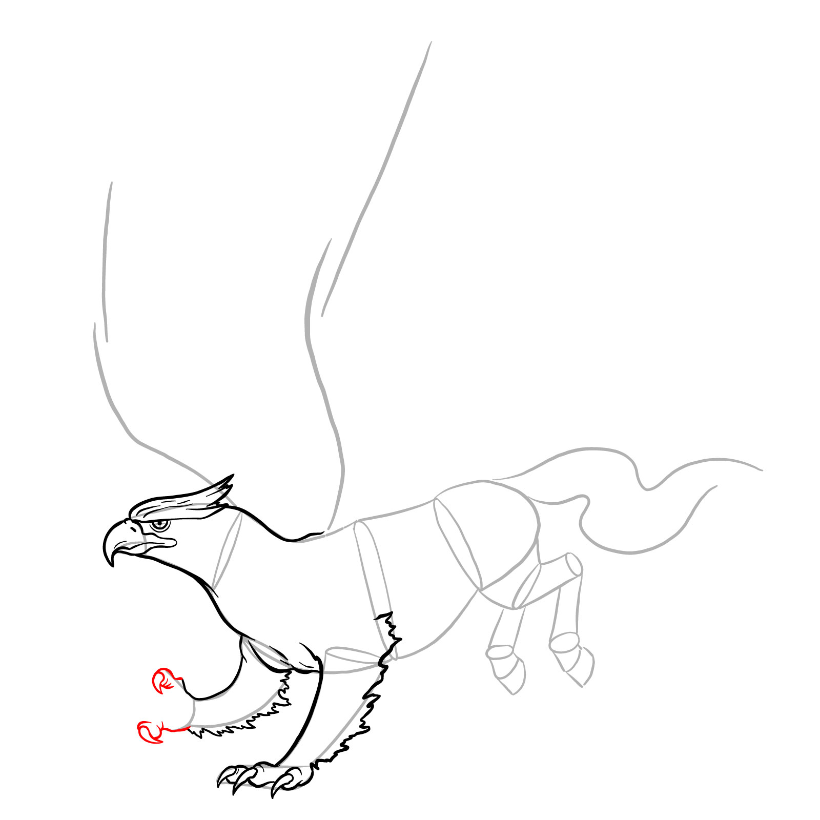 How to draw a Hippogryph - step 18