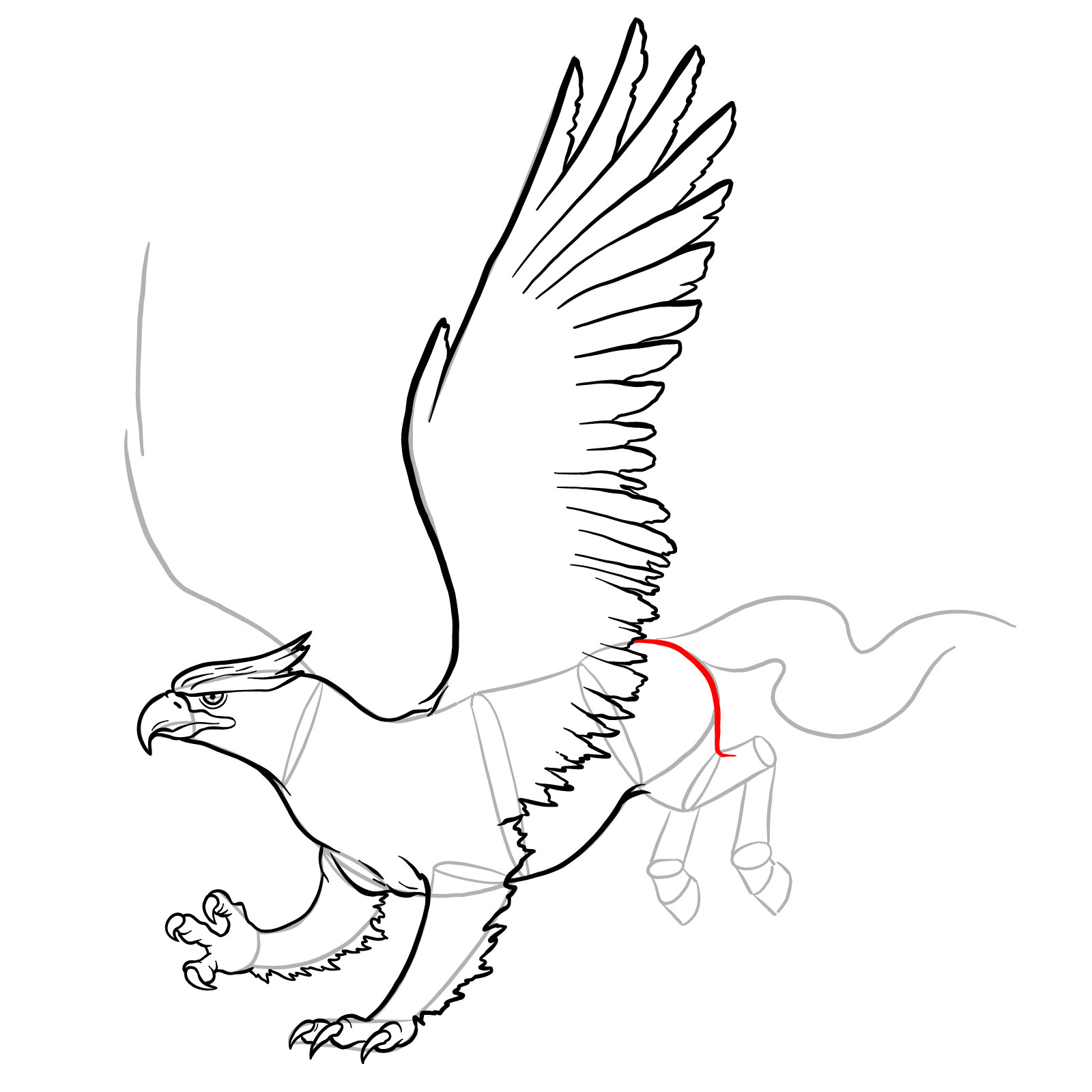 How to draw a Hippogryph - step 29