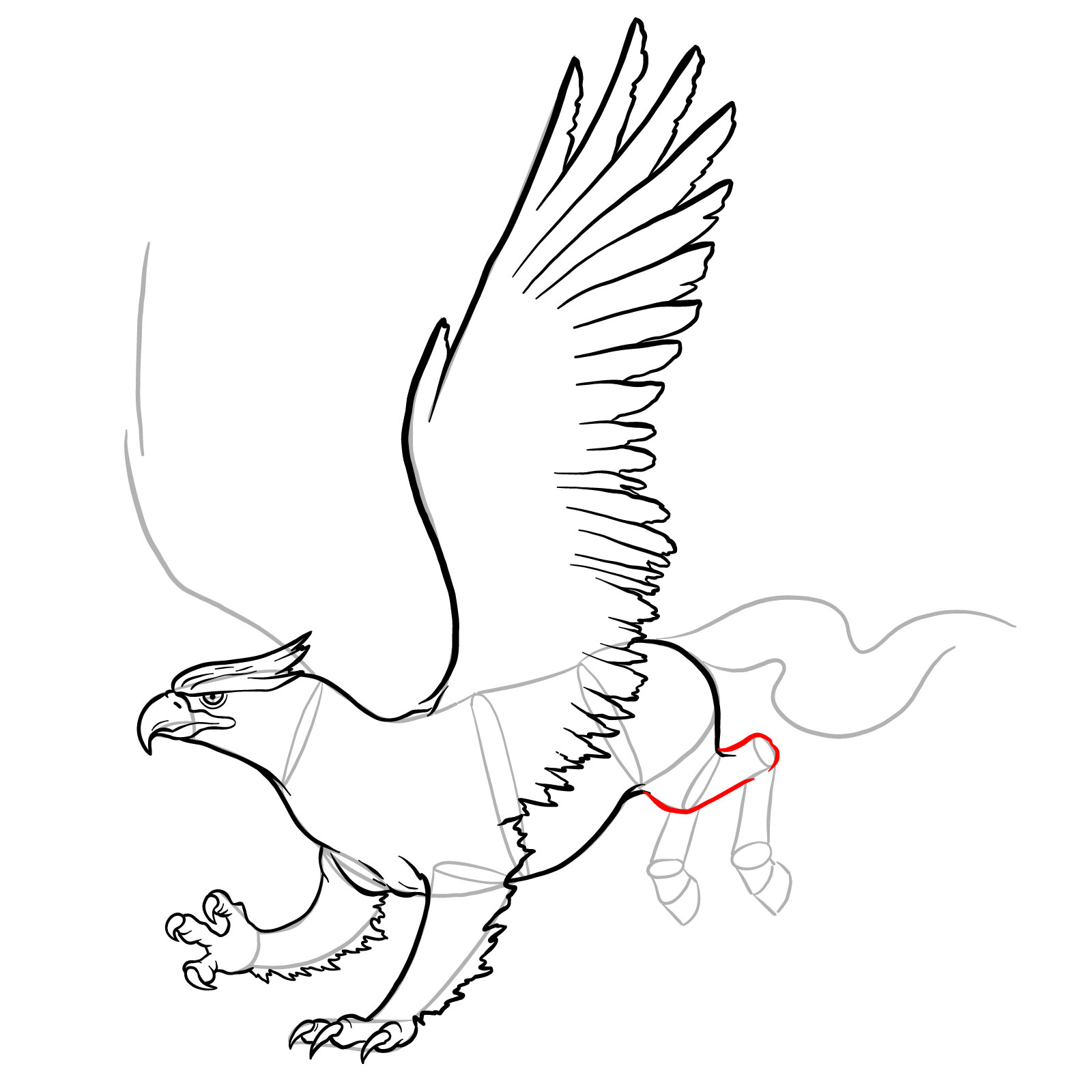 How to draw a Hippogryph - step 30