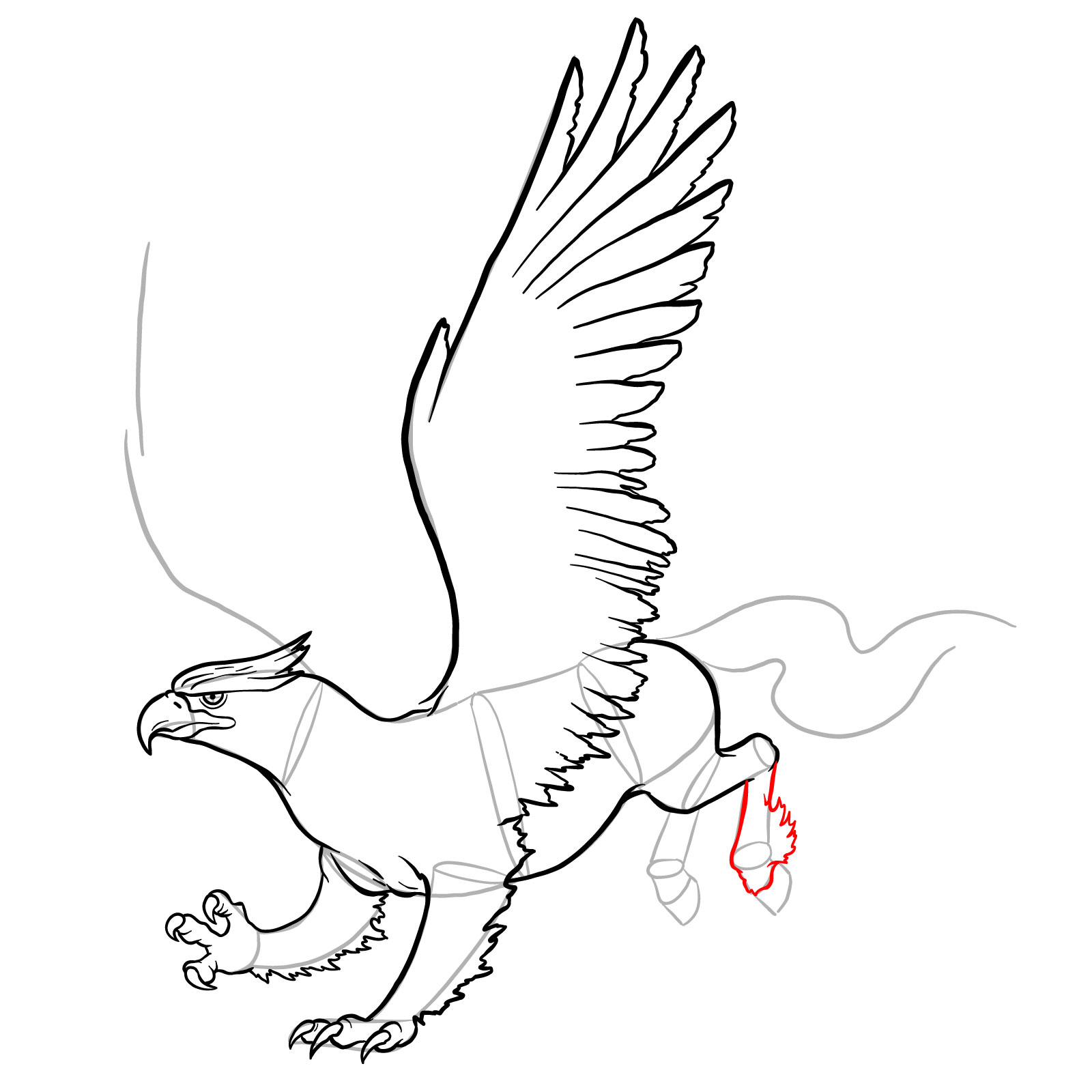 How to draw a Hippogryph - step 31