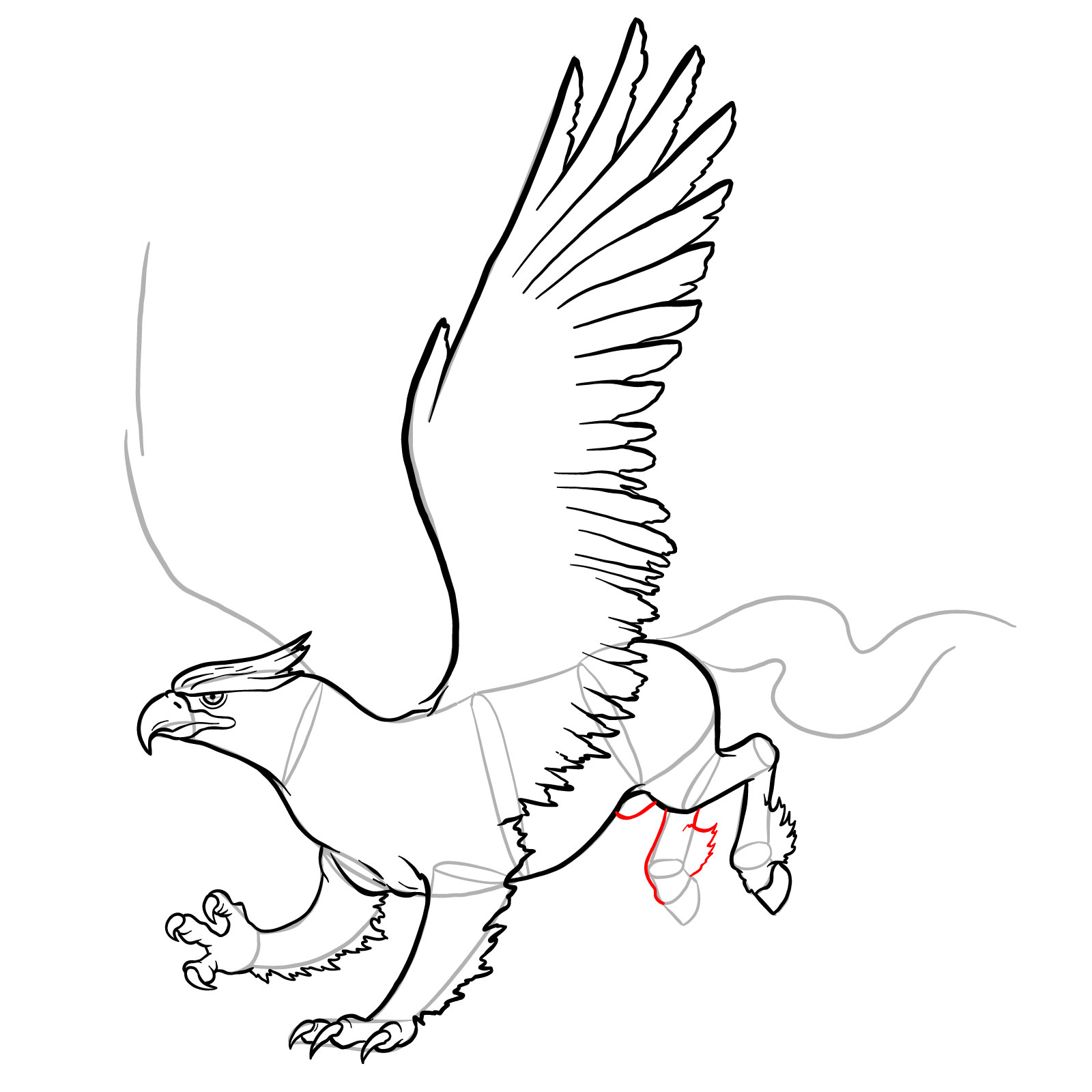 How to draw a Hippogryph - step 33