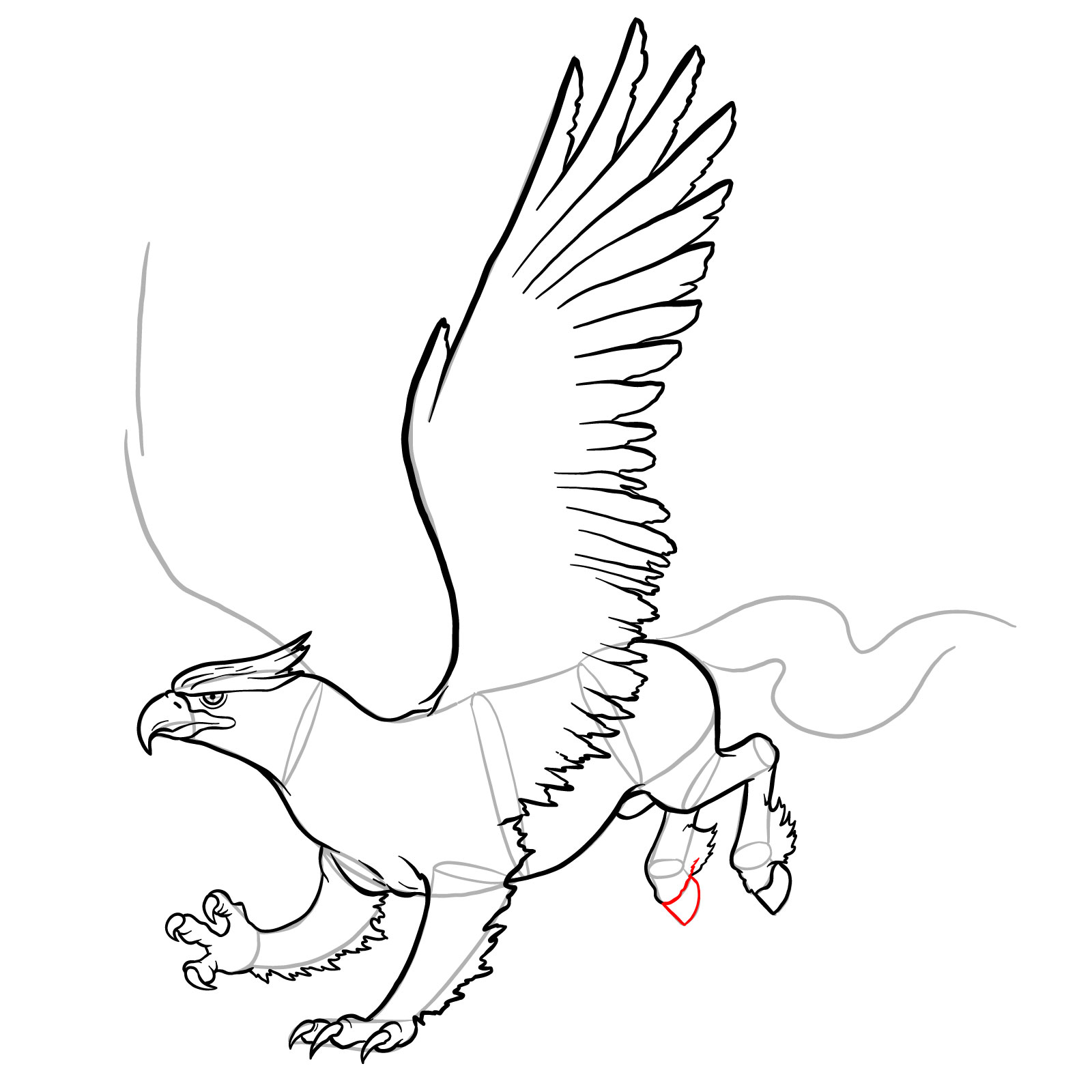 How to draw a Hippogryph - step 34