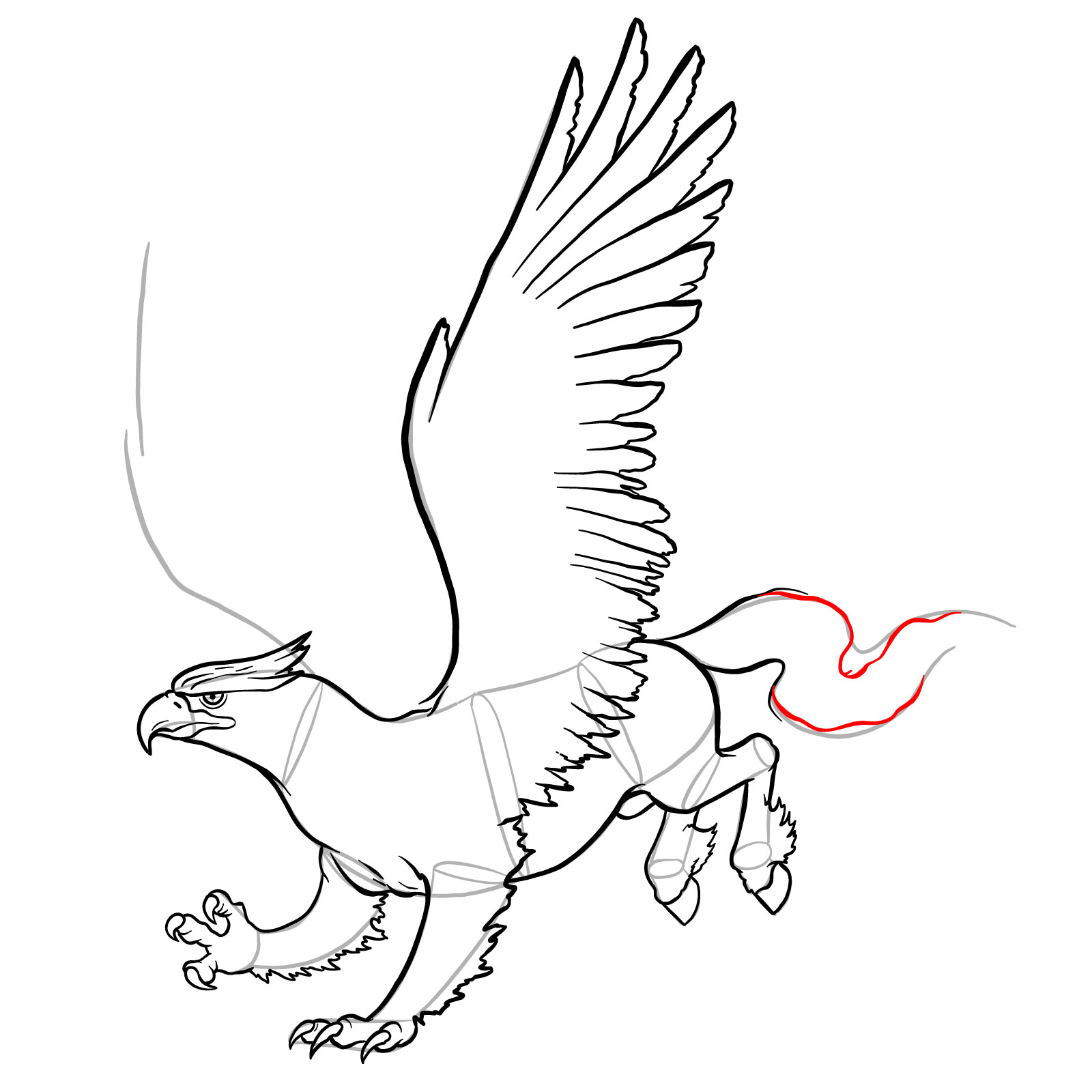 How to draw a Hippogryph - step 36
