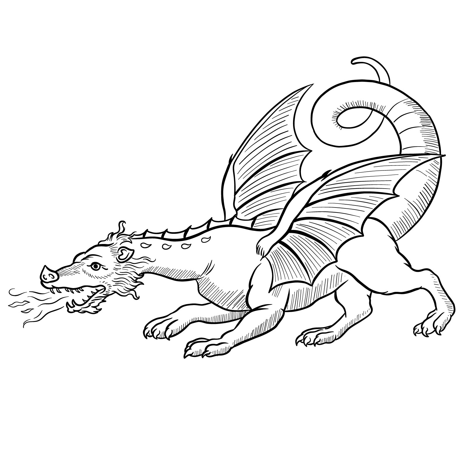 cool easy drawings of dragons