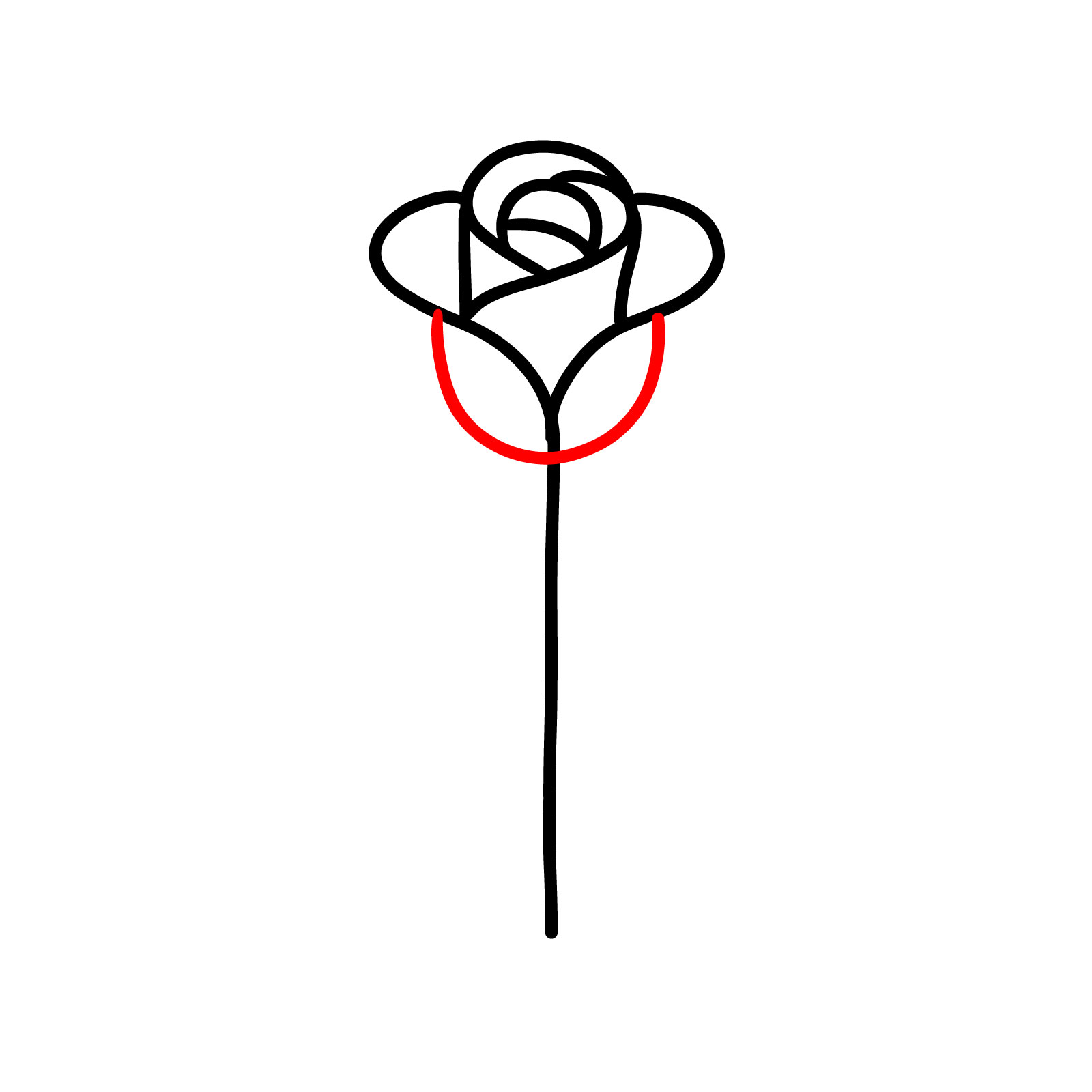 How to Draw a Rosebud