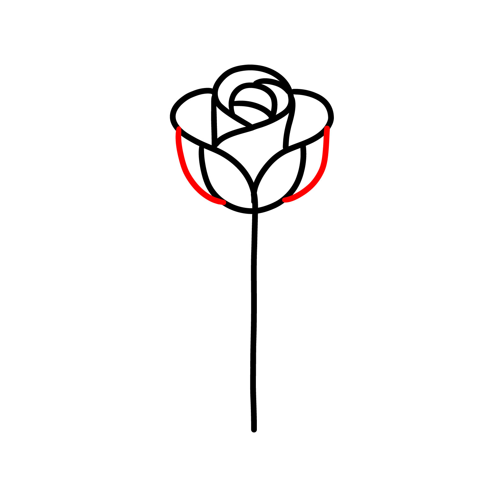 100,000 Big rose Vector Images | Depositphotos