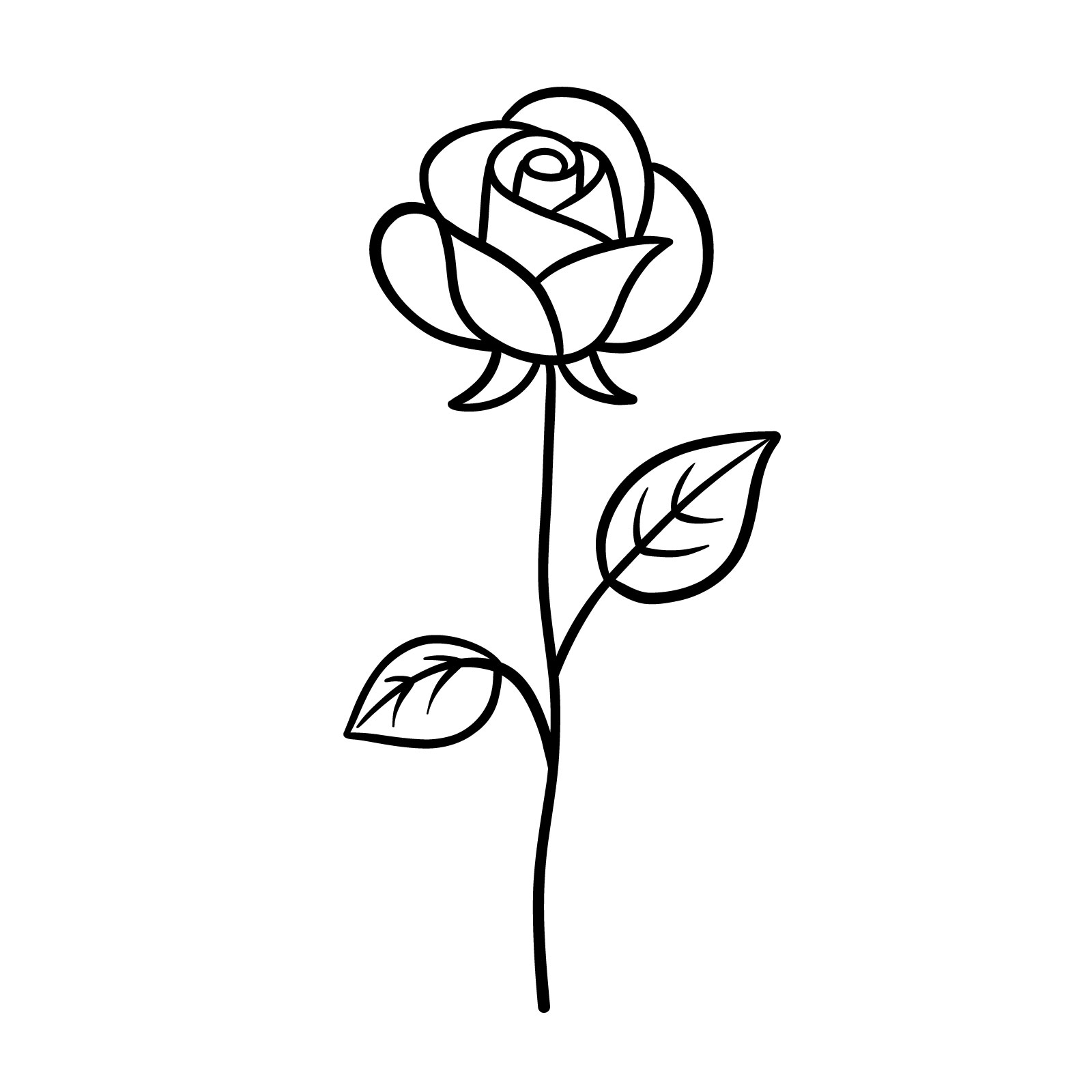 Rose Realistic Outline Art PNG Transparent Images Free Download | Vector  Files | Pngtree