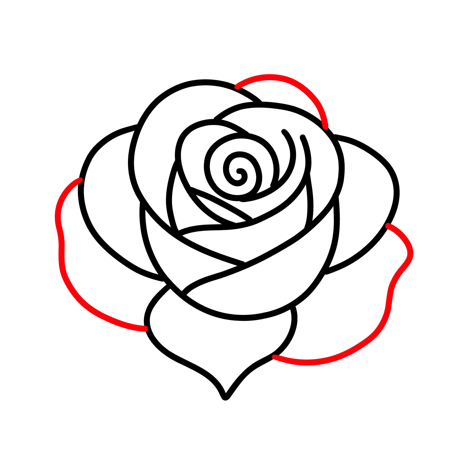 How to Draw a Rosebud