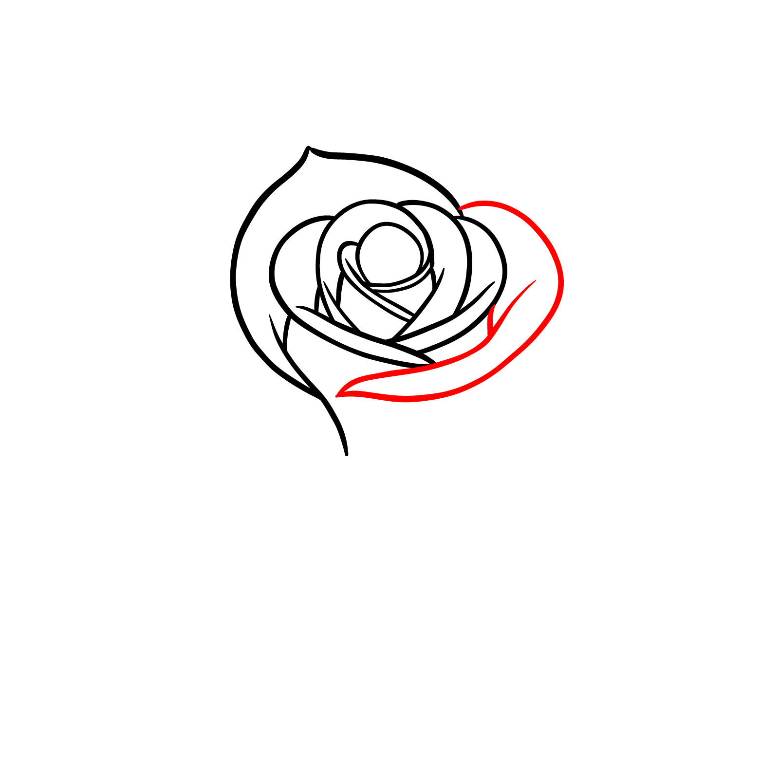 How to Draw Roses: 8 Easy Step-by-Step Guides in 1