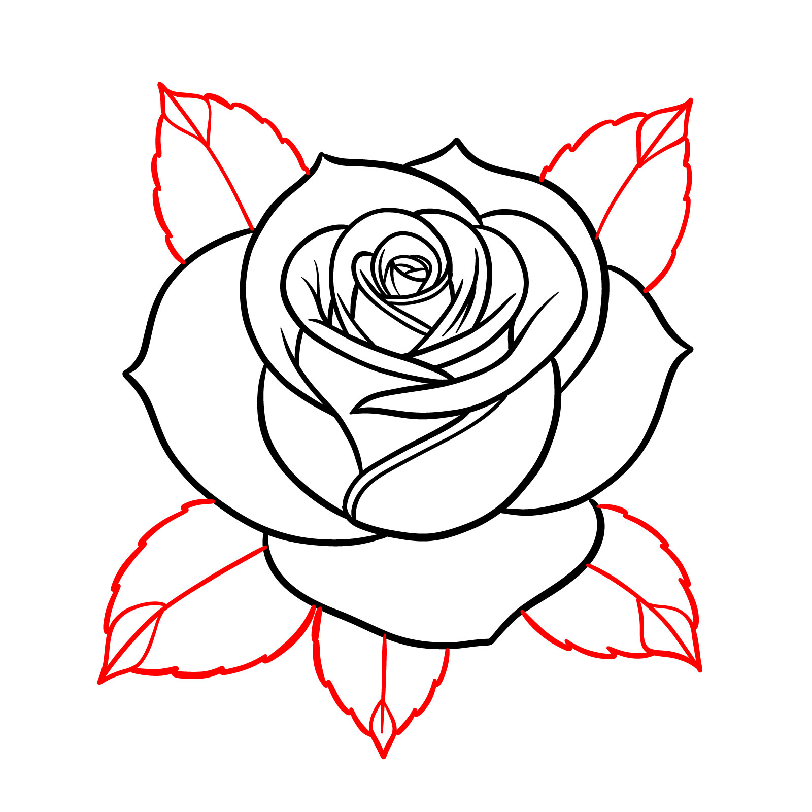 How to Draw a Rose: Easy Flower Drawings