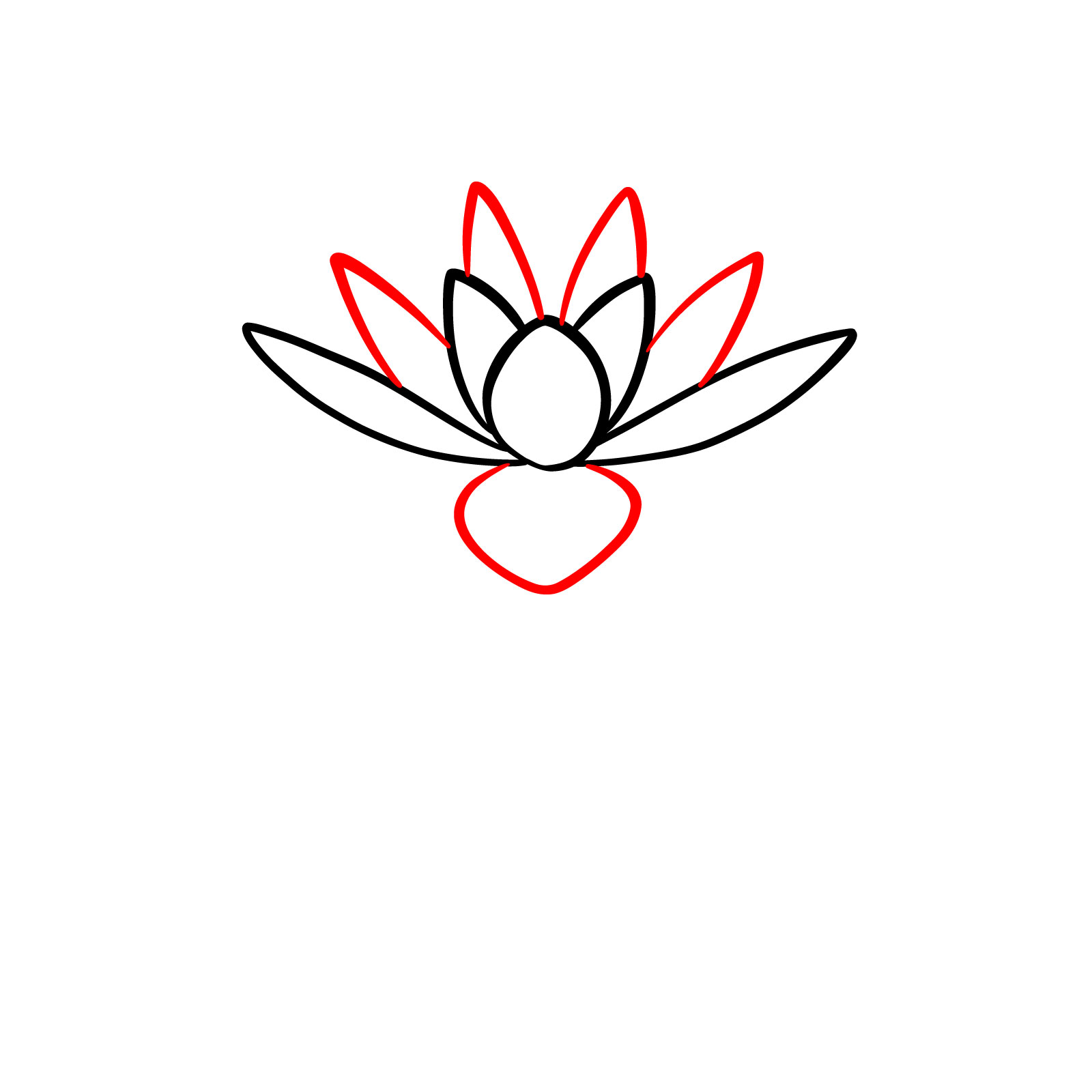 Detailed water lily outline with new petal additions - step 03