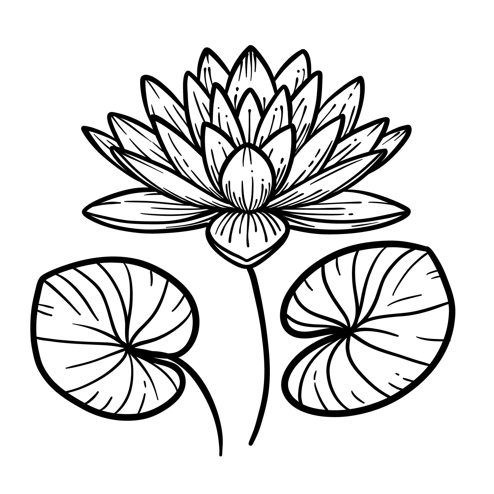 16 Water Lily Clipart - (Lotus Flower Pictures) - The Graphics Fairy