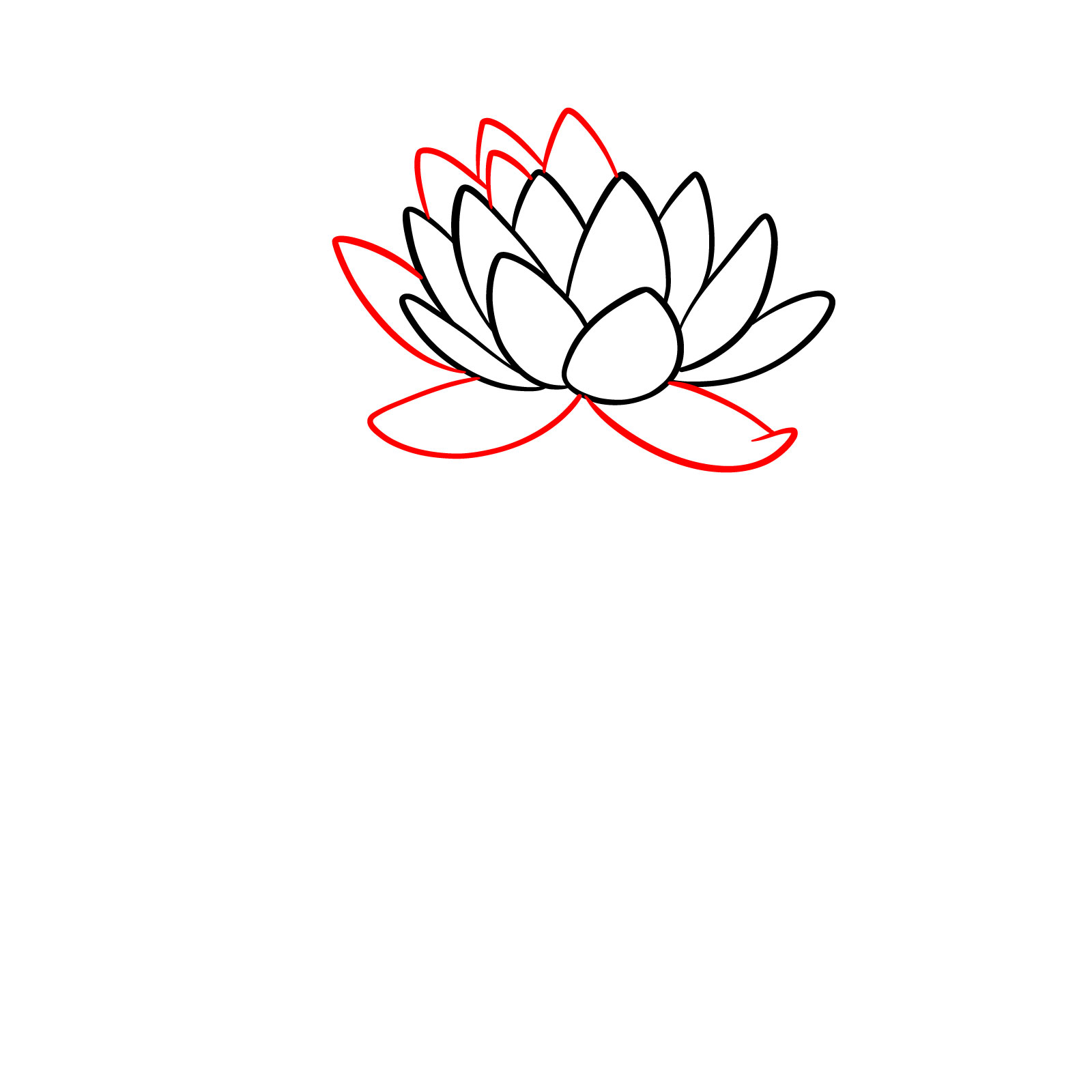 Water lily outline drawing showing the next layer of petals being started - step 04