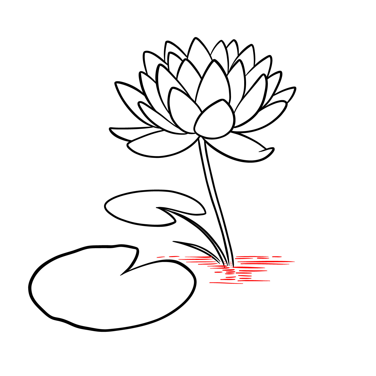 Water lily outline drawing featuring the addition of water ripples - step 08