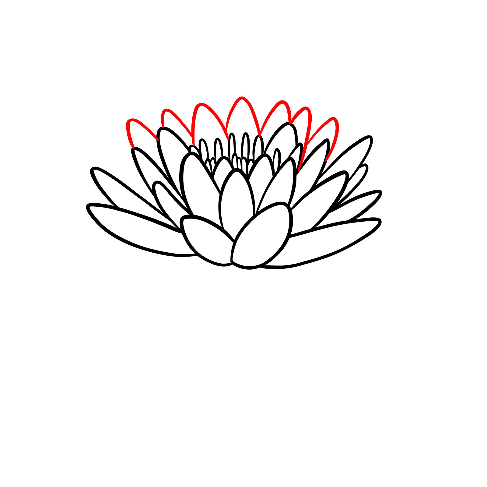 Completing the backside petals of the water lily drawing - step 07